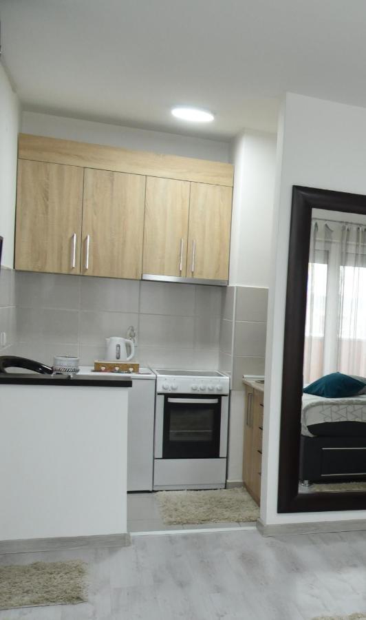 Apartmani Sofronic Loznica 2 Экстерьер фото